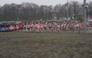Championnat de France de cross + VIDEO + photos 