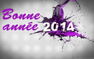 Bonne année 2013