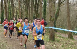 Résultats Interrégionaux de cross de La Chapelle sur Erdre du 08/02/15