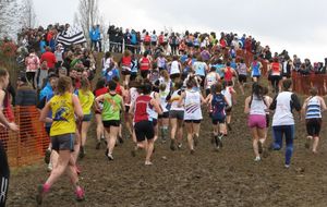  06/03/16 : Résultats Championnat de France de cross au  Mans