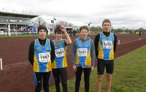 14/02/2016 : Résultats Championnat Interrégional de cross à Ligniéres