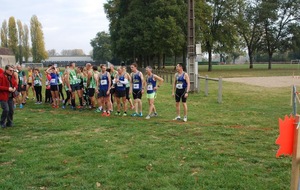 04/11/18 : Résultats Cross d'Amboise et Championnat départemental de cross court