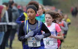 02/02/19 : Résultats Championnat régional de cross et intercomité à Olivet