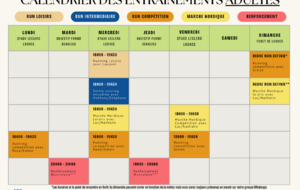 Planning ADULTES