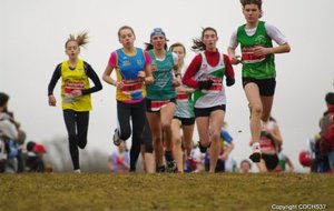 Déja une bonne avance