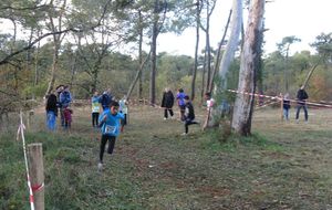 Cross du Pérou à Avoine