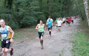 Résultats des compétitions du week-end du 18/06