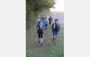 Golden trail de St Roch