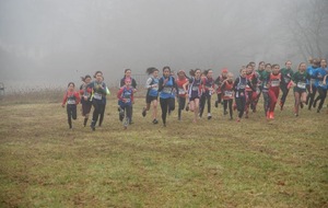 Cross de Château-Renault