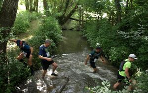 La Fardilliére à Villiers au Bouin