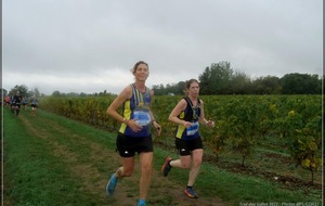 Trail des Bulles , Vouvray