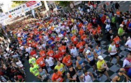 4 Lochois sur la photo !!!!