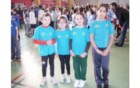 Meeting Indoor de Joué-lès-Tours 2011