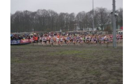 Championnat de France de cross + VIDEO + photos 