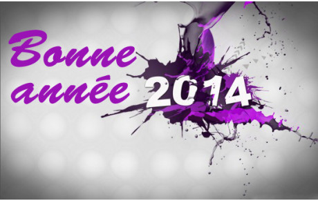 Bonne année 2013