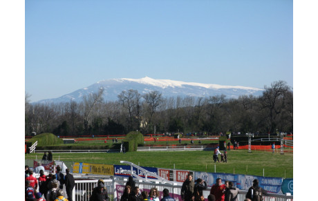 Résultats Championnat de France de cross le 02/03 au Pontet ( 84 )