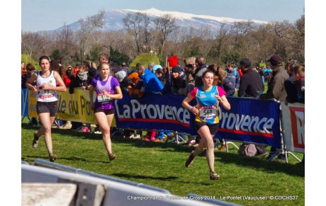 Résultats courses du 29/11/14