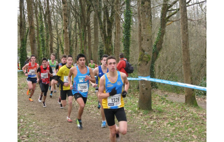 Résultats Interrégionaux de cross de La Chapelle sur Erdre du 08/02/15