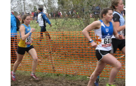 Résultats des France de cross aux Mureaux ( IF ) du 01/03/15