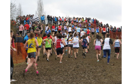 06/03/16 : Résultats Championnat de France de cross au  Mans