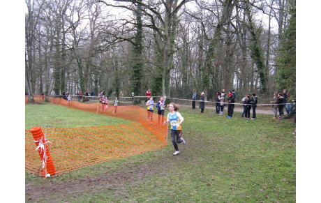 24/01/16 : Résultats Championnat régional de cross à Romorantin