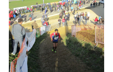 17/02/19 :Résultats Championnat Interrégional de cross La Ferté Bernard